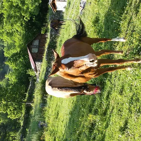 Dortoir Mont Avic Champdepraz